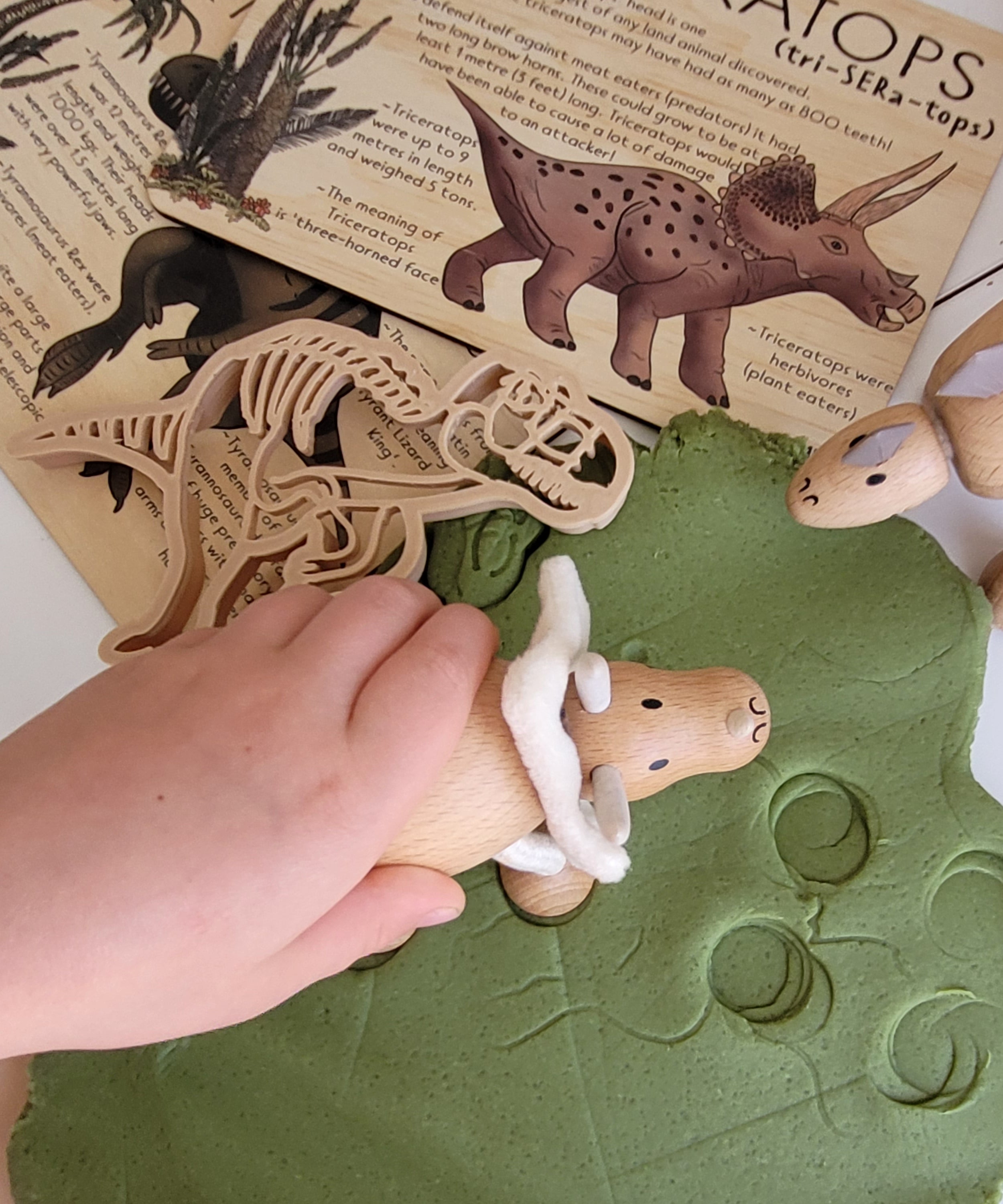 Steiner Toys