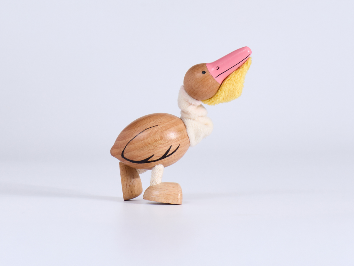 What Does a Pelican Keep in Its Pouch? The Ocean's Most Surprising Fisher