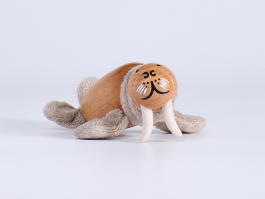 What Is a Walrus Actually Using Its Tusks For? Life on the Arctic Ice