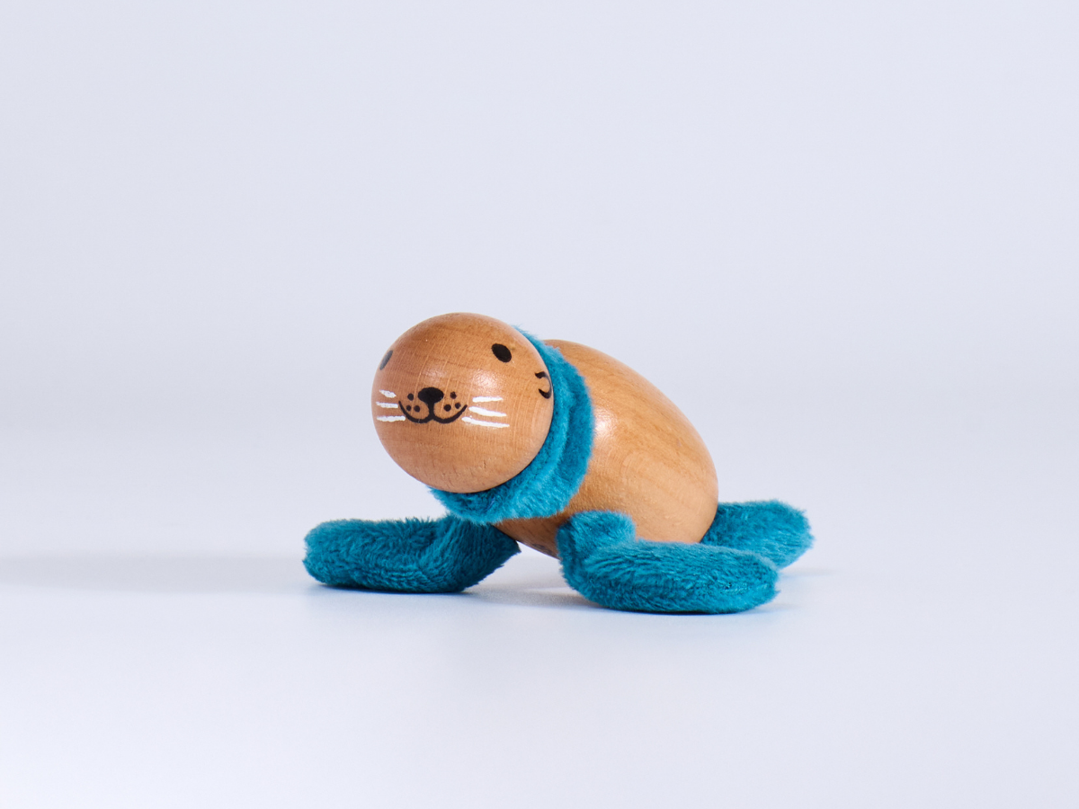 Why Do Seals Bask in the Sun? Life Between Land and Sea