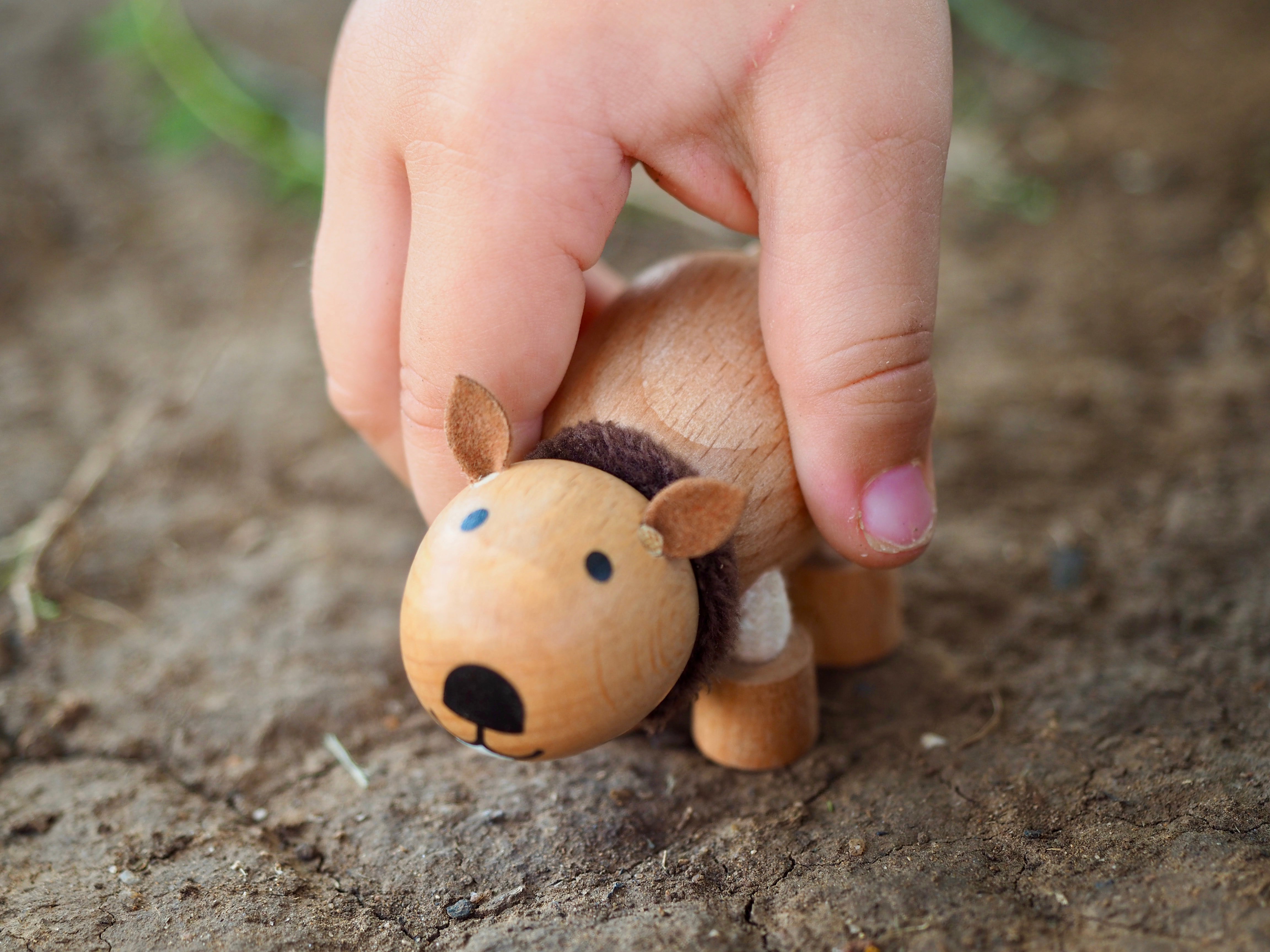 australian wombat toy