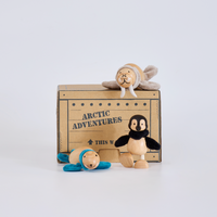 Icebergs Mini Crate: Penguin, Seal, Walrus