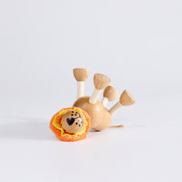 Eco-Friendly Wooden Toy
