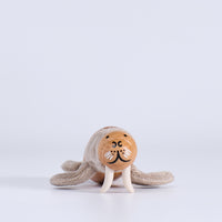 Walrus