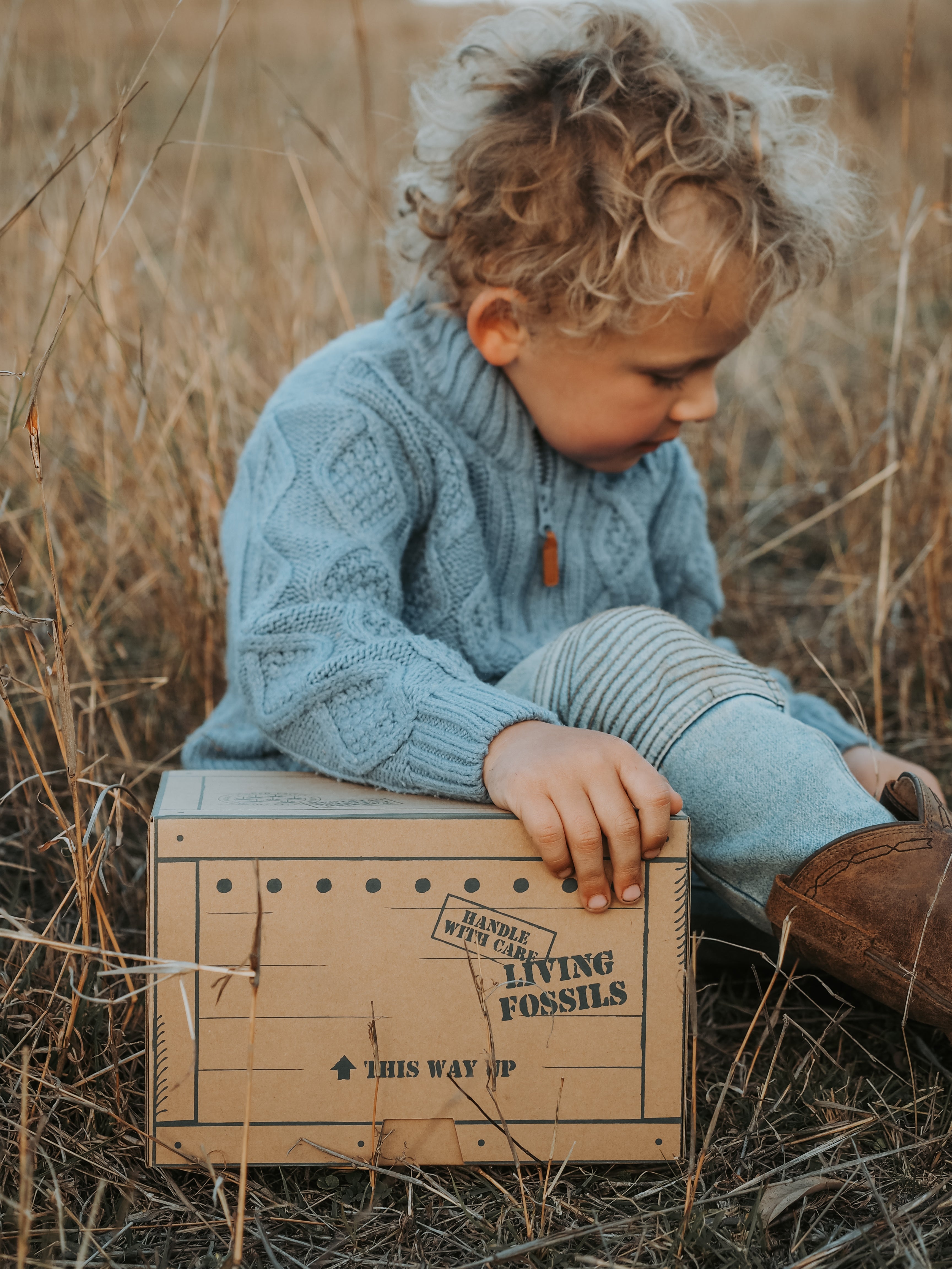 A toddler with curly light brown hair sits outdoors in dry grass, wearing a light blue cable-knit sweater and matching knit pants, leaning on a vintage-style cardboard box printed with 'LIVING FOSSILS'.