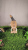 wooden dinosaur toys for 3 year old boys